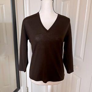 TSE Brown 100% Superfine Wool Made in Italy V-Neck Sweater. Size Large